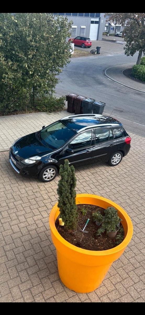 Renault Clio 2012 — photo 10