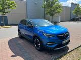 Opel Grandland (X) 2.0 Diesel 130kW Ultimate Auto... - Opel Grandland (X) in Wiesbaden