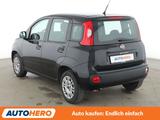 Fiat Panda 1.2 Easy*KLIMA*GARANTIE* - Fiat Panda mit Benzin-Antrieb: Limousine, Schaltgetriebe