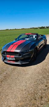 Ford Mustang 2.3 EcoBoost Auto - - Ford Mustang in München