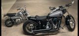 Harley-Davidson Dyna Wide Glide  FXDWG - HARLEY-DAVIDSON WIDE DYNA GLIDE