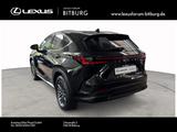 Lexus NX 450 h+ E-Four Executive 15 Jahre Lexus Relax  - schwarze Lexus NX 450h
