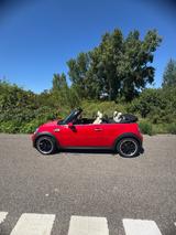 MINI Cooper S Cabrio Cooper S - MINI Cooper S Cabrio Gebrauchtwagen