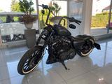 Harley-Davidson Sportster Iron 883 *A2-Drossel 35 kW* - Offers