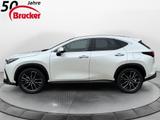 Lexus NX 350h E-FOUR Luxury Line *PANO* Mark Levinson - Lexus NX Luxury-Line