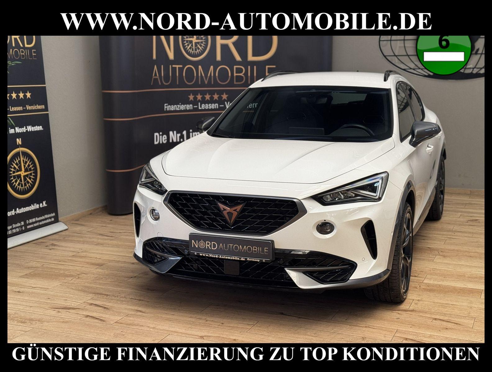 Cupra Formentor VZ 1.4 TSI e-HYBRID DSG AHK/Kamera/19