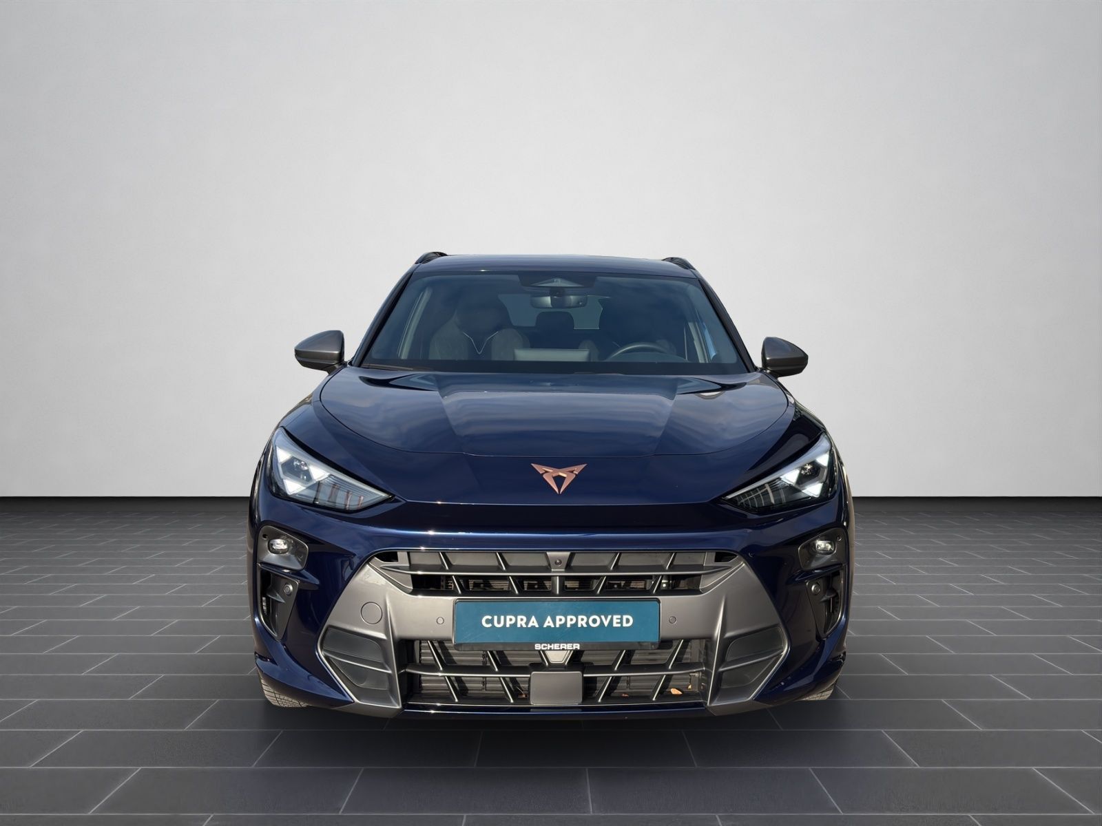 Cupra Terramar - Bild 4