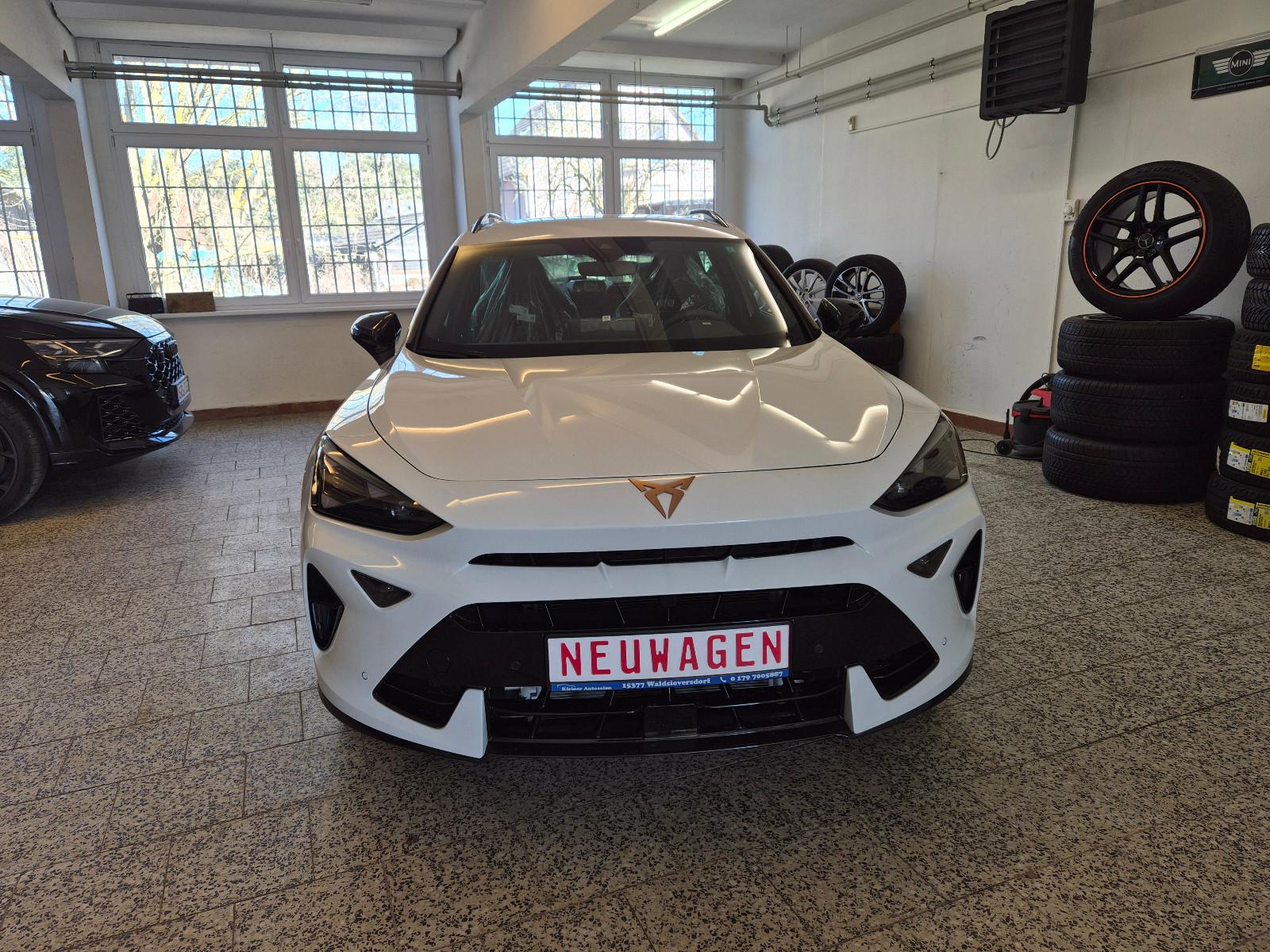 Cupra Formentor VZ 2.0 TSI 245 kW 4Drive AHK/15 KM/