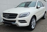 Mercedes-Benz ML 400*SPORTPAKET*GSD*KAM*NAVI*DIS*BI-XENON*20"* - Mercedes-Benz ML 400 Gebrauchtwagen
