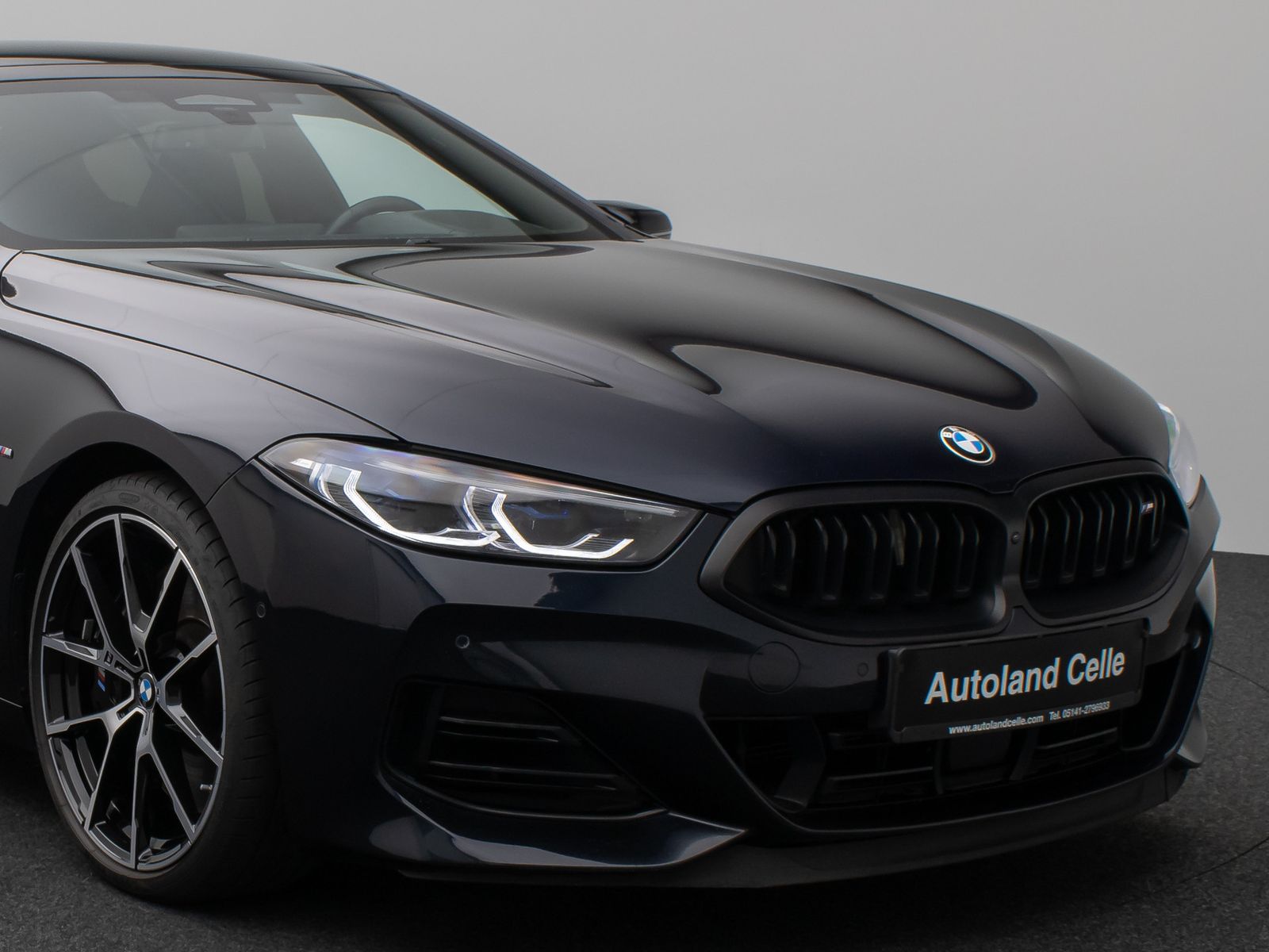 Fahrzeugabbildung BMW M850i xD GC 360° Laser SoftCl DAB Individual 20"