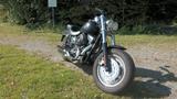 Harley-Davidson Dyna FatBob FXDF - Harley-Davidson Motorräder in Wuppertal
