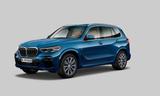 BMW X5 xDr40i M Sport PANO*2Achs*AHK*H&K*xOff*AdapLE - BMW X5 Gebrauchtwagen in Wiesbaden