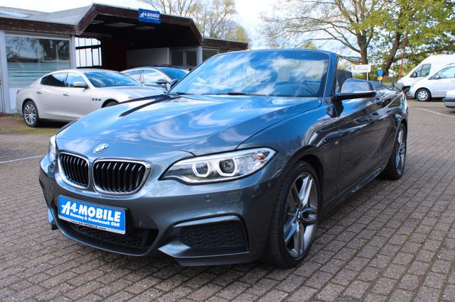 BMW 218i Cabrio M Sport Bi-Xenon SHZ Tempomat PDC