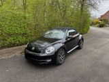 Volkswagen Beetle 1.2 TSI BMT ALLSTAR Käfer Cabriolet  - Volkswagen: Cabrio, Kaefer
