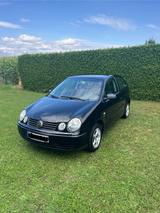 Volkswagen Polo 1.4 74kW Cricket Cricket - Volkswagen Polo Cricket mit Benzin-Antrieb