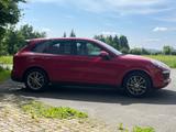 Porsche Cayenne Diesel - - Porsche Cayenne: Rot
