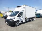 Peugeot Boxer Kühlkoffer Xarios 300 BÄR LBW Camera - Peugeot Koffer