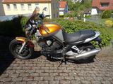 Yamaha BT1100 Belgarda n. Reifen / Inspekt. nur 5600 km - Offers matching your search criteria