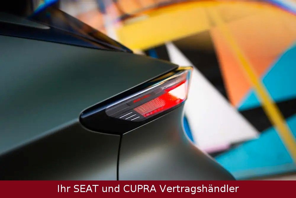 Cupra Raval - Bild 9