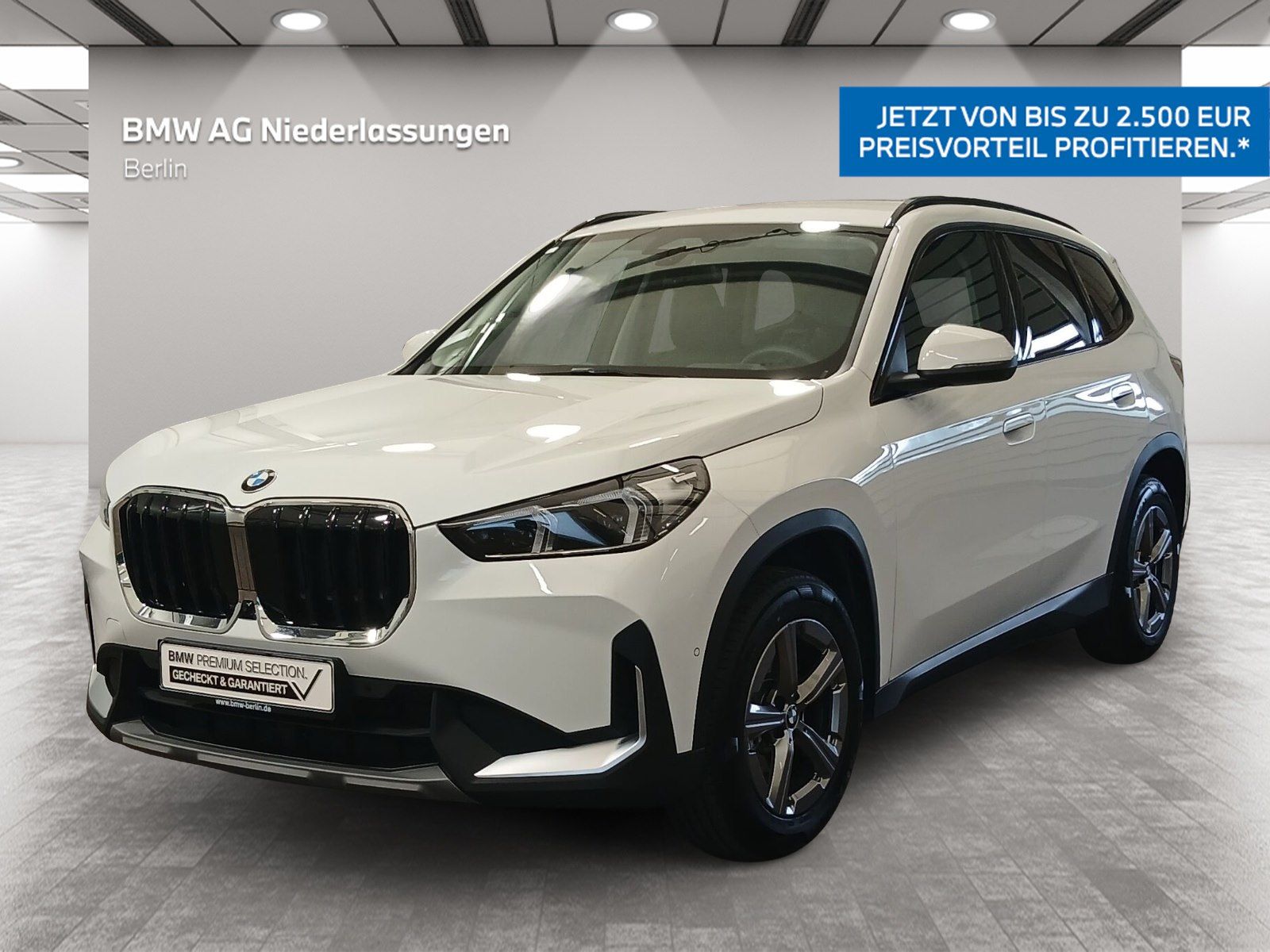 BMW X1 sDrive20i LiveCockpitProf Head-Up DA+ PA+ AHK