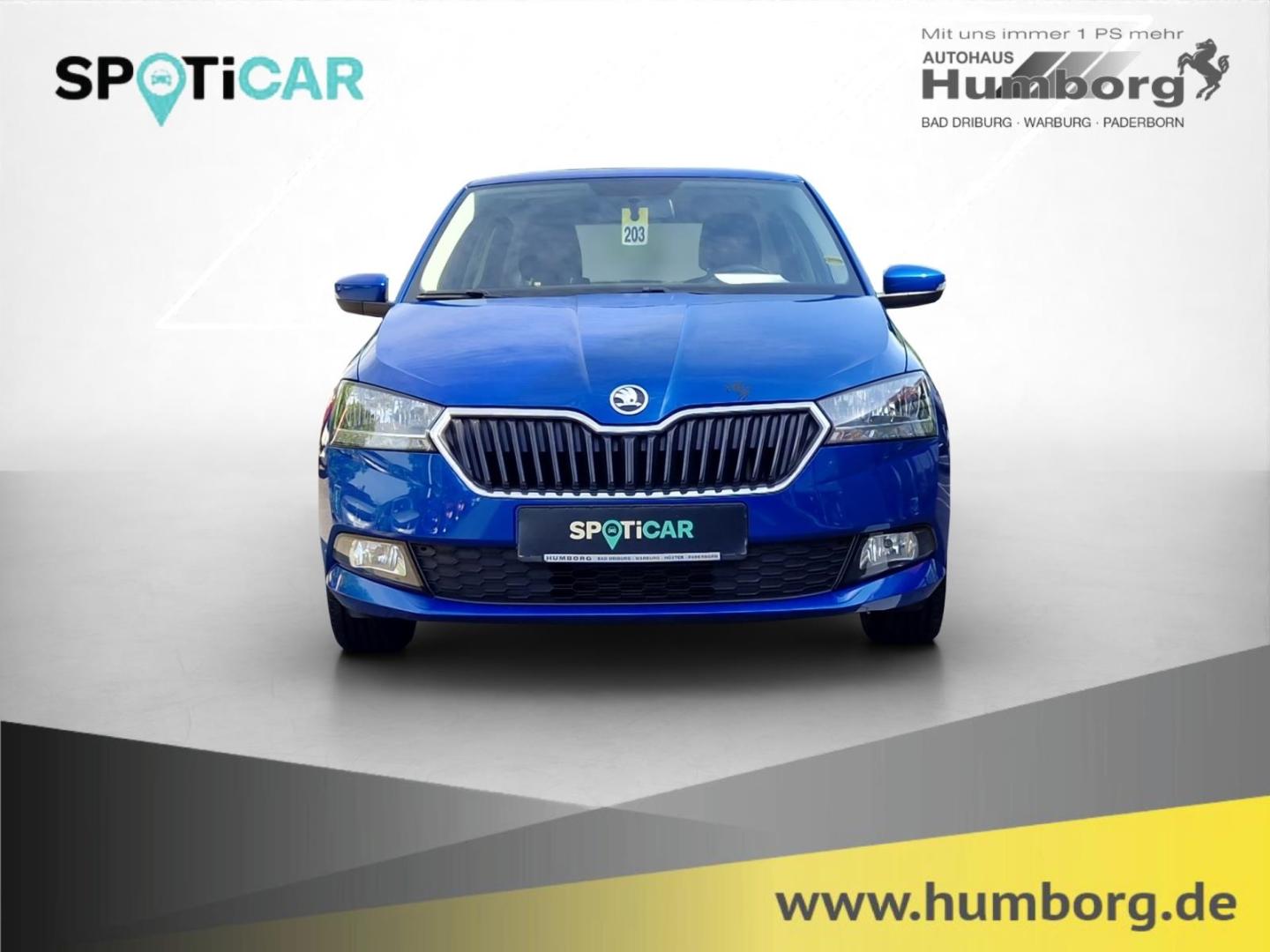 Skoda Fabia 1.0 TSI Ambition Green SHZ Kamera Sperrdif