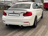 BMW M240i Performance Edition - BMW: E24