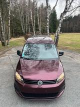 Volkswagen Caddy 1,6TDI 55kW BMotion T Startline 5-Sitz... - Volkswagen Caddy: Startline