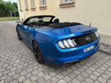 Ford Mustang 5.0 GT Cabrio Werksgarantie 55 Jahre Edi - Ford Mustang Gebrauchtwagen in Dresden