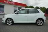 Skoda Fabia 1.0 TSI Cool Plus Klima Sitzheizung PDC - Skoda Fabia Gebrauchtwagen in Leipzig