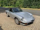 Alfa Romeo Spider - Alfa Romeo aus 1986