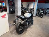 Honda CB1000 Hornet 2025  White *sofort verfügbar* - HONDA 1000