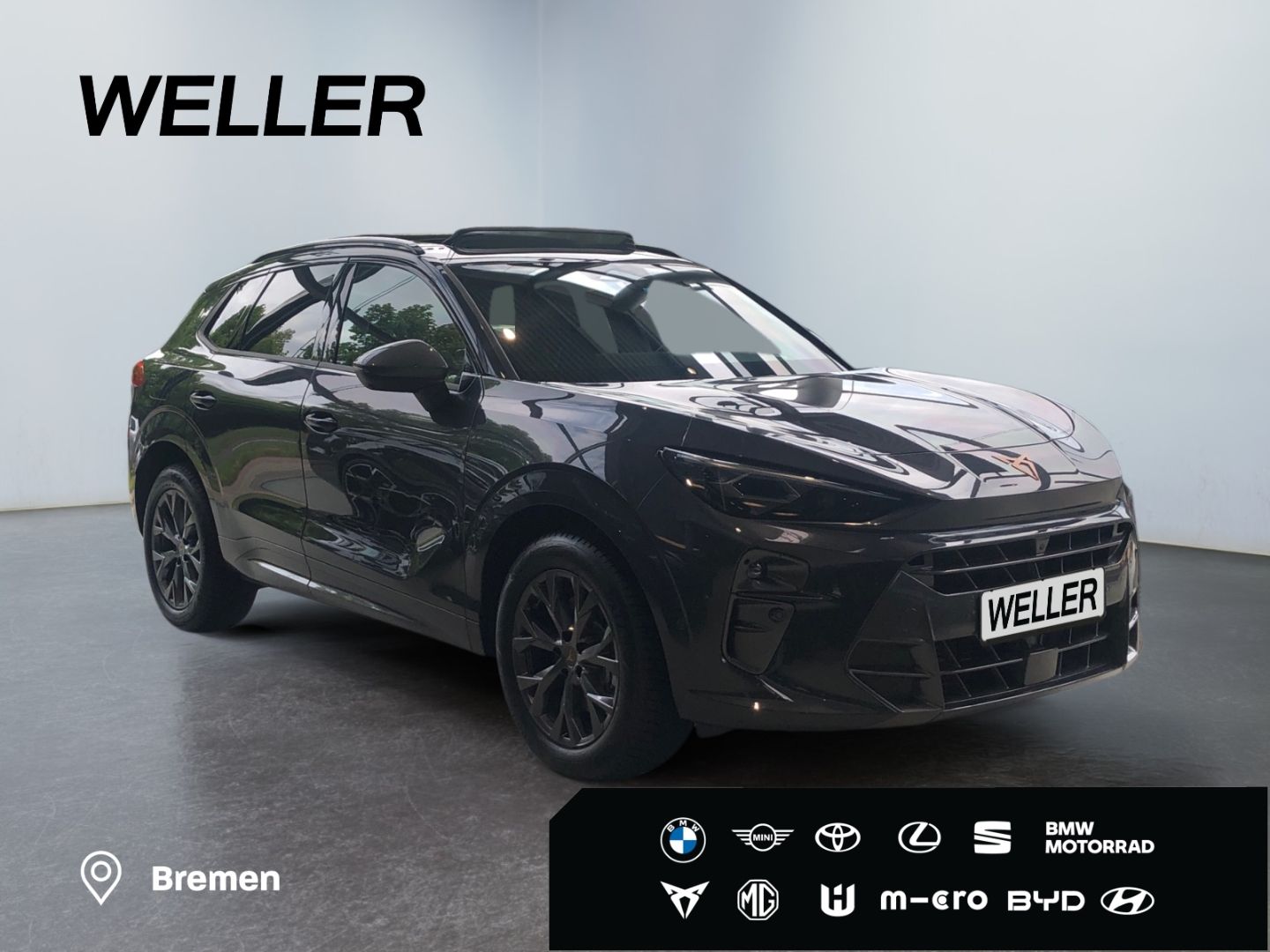 Cupra Terramar - Bild 4