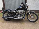 Harley-Davidson Sportster 1200 XL Low - Harley-Davidson Sportster XL 1200 L Low