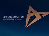 Cupra Formentor VZ 2.0 TSI 245 kW 4Drive EU6e AD Navi  - Neuwagen: Eu 24