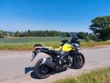 Suzuki Vstrom1000  - Offers matching your search criteria
