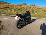 Kawasaki Ninja 1000 SX (Vollausstattung) - KAWASAKI SPORTTOURER