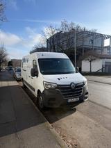 Renault Master Kühl- und Heiztransporter - Renault Master in Stuttgart