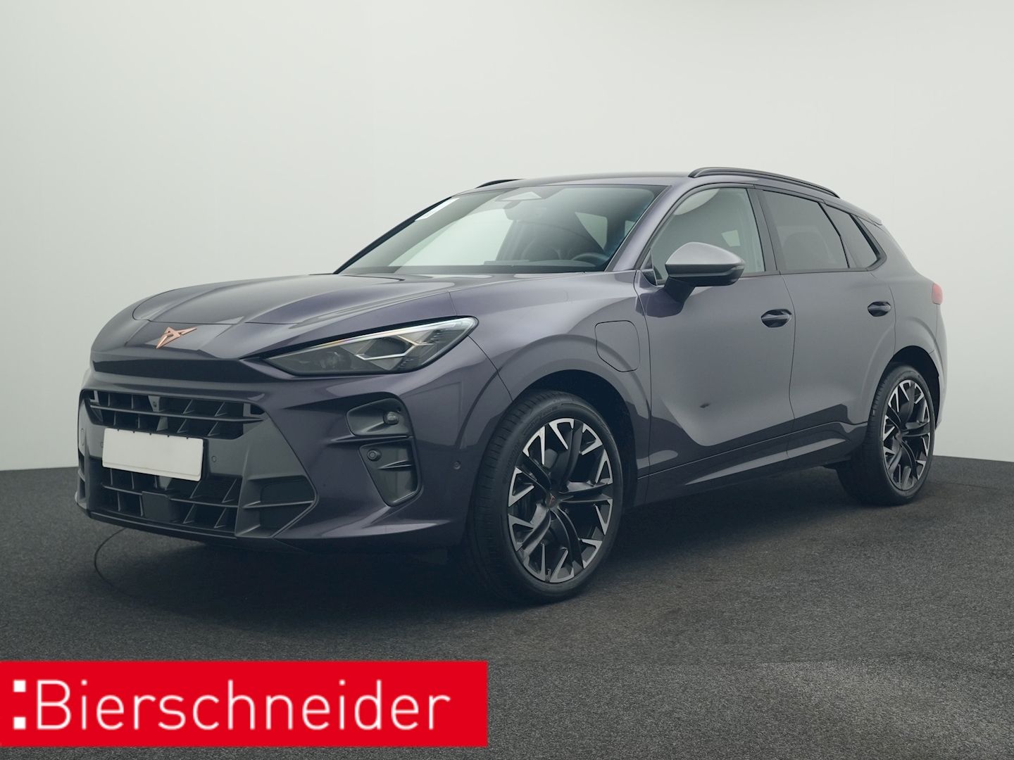 CUPRA Terramar 1.5 TSI eHybrid DSG VZ MATRIX 360 HUD 2
