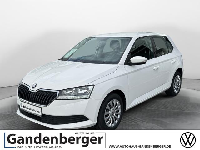 Skoda Fabia Active 1,0l TSI 96 PS 5-Gang