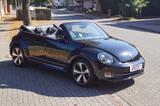 Volkswagen Beetle Cabriolet Cup * Navi * Bi-Xenon * PDC * - Volkswagen Beetle CUP mit Benzin-Antrieb