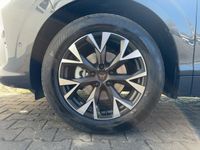 Cupra Terramar - Vorschau Bild 12