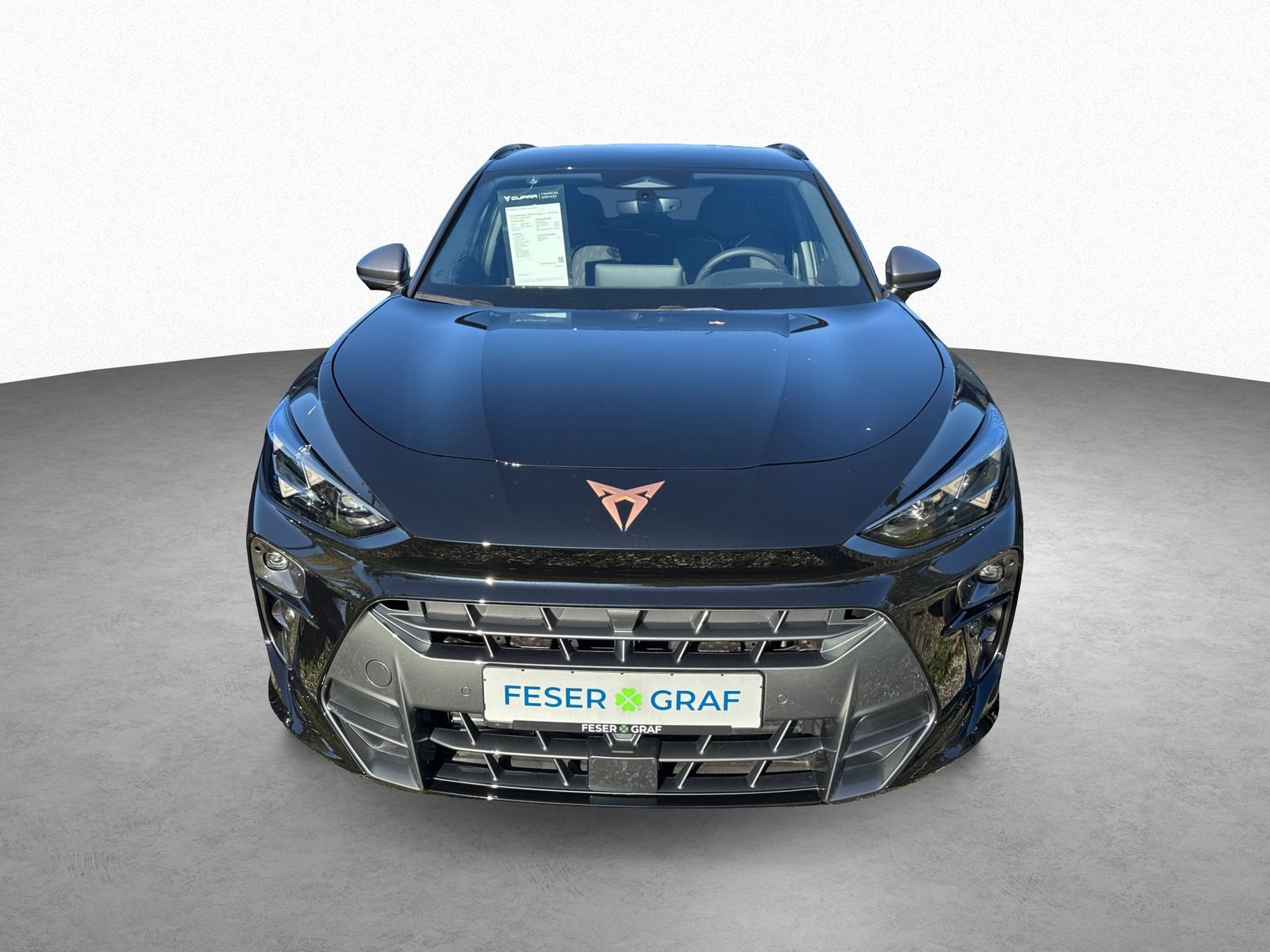 Cupra Terramar - Bild 2