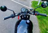 Triumph Bonneville SE - TRIUMPH BONNEVILLE