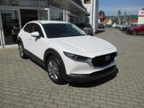 Mazda CX-30 2.5L e-SKYACTIV G 140 6AT FWD Exclusive-li - Mazda CX-30 Gebrauchtwagen in Dresden