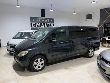 Mercedes Viano - 2