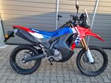 Honda CRF 300 L RALLY 2025 *Als Neufahrzeug bei uns* - HONDA MOTORRAD