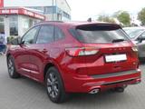 Ford Kuga 2.0 EcoBlue M-Hybrid ST-Line X Navi ACC AHK - Ford Kuga mit Diesel-Antrieb