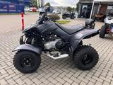 Kymco Maxxer 300 - QUAD 300