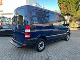 Mercedes-Benz Sprinter II 313 CDI TÜV+Service NEU! - Mercedes-Benz Sprinter: 313