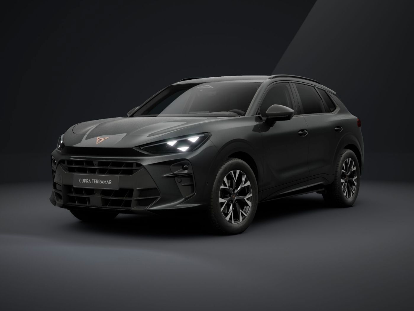 Cupra Terramar - Bild 2
